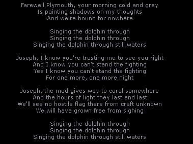 Singing the Dolphin Through