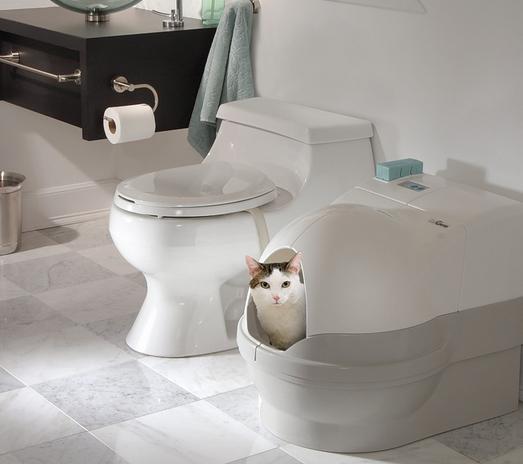 Основные характеристики наполнителей для кошачьего туалета на основе глины 