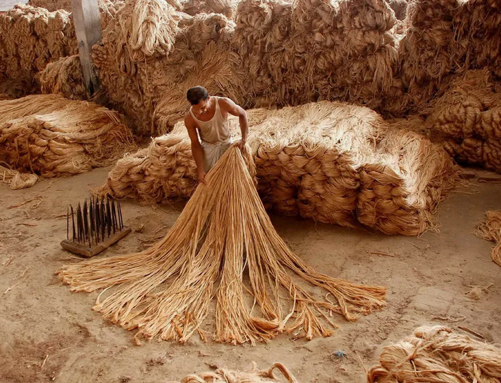 Зачем джут нужен человечеству